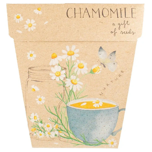 Chamomile Gift of Seed (Australia Only)