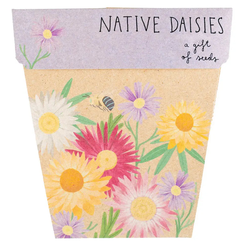 Native Daisies Gift of Seeds (Australia Only)