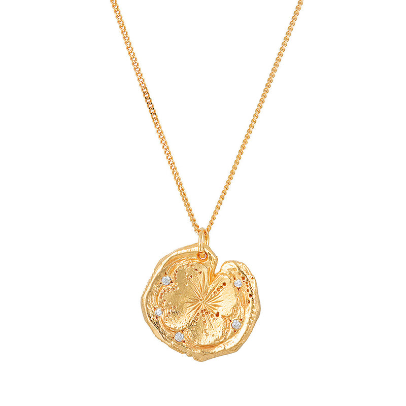 Hidden Treasure Gold Pendant Necklace