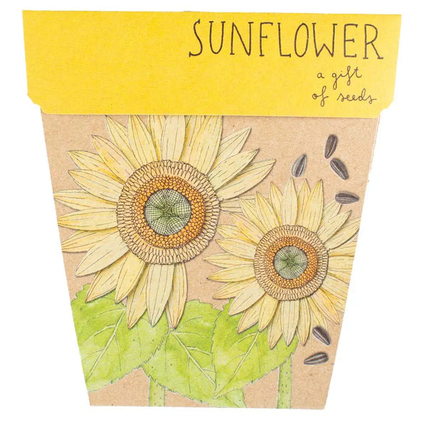 Sunflower Gift of Seeds (Australia Only)