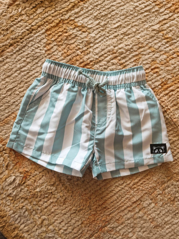 Shades Striped Shorts - Mint Green